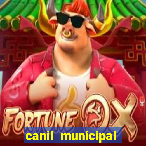 canil municipal porto alegre